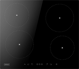 Induktionsfeld Reparatur Oschersleben